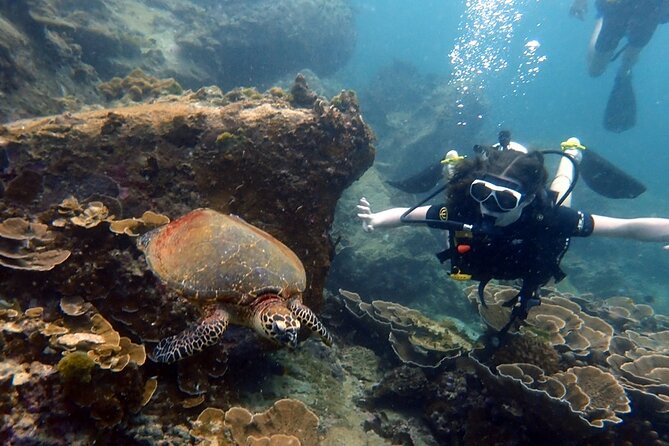 "Premium" Non Certified Beginner Scuba Diving in Racha Yai/Noi - Photos and Video: A Tangible Reminder