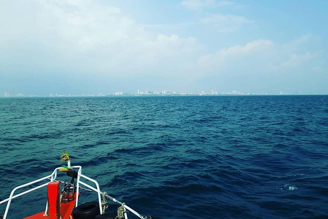 Racha & Coral Island Day Trip by Speedboat - Lunch Included - Who should book this trip, and who should skip it