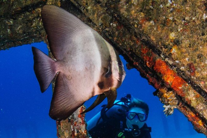 Racha Noi and Racha Yai Dive Trip from Phuket - Small-group guidance and photos: attention in the water