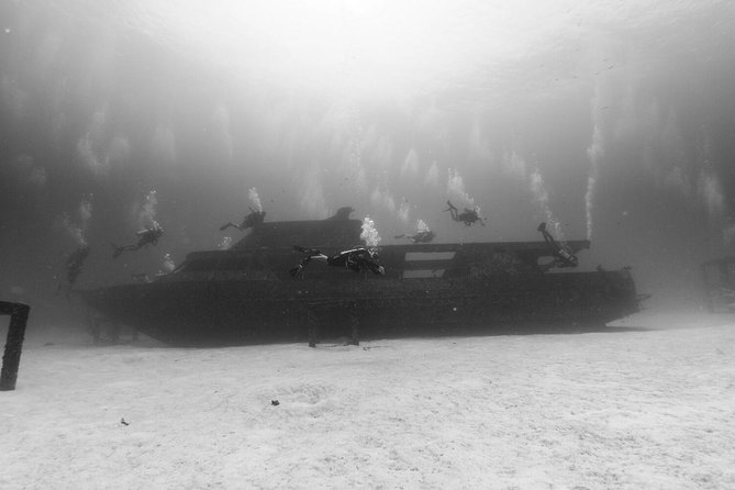 Racha Noi and Racha Yai Dive Trip from Phuket - What you’ll likely see: reef fish, plus the occasional big surprise