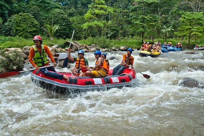 Rafting 5 km, ATV 30 Mins, Fly Fox and Jungle Tour From Phuket - ATV jungle riding (about 30 minutes): short thrill, big “wow” factor