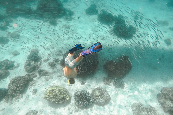 Raya Island / Mai Ton Island Private Boat Tour - What’s included (and the value math for $1,103.26 per group)