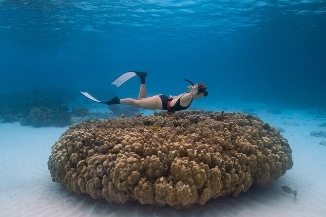 Raya Island / Mai Ton Island Private Boat Tour - Racha Yai and Siam Bay snorkelling: where clear water meets easy viewing