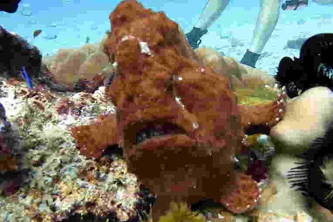 Refresher scuba diving trip, 3 dives at Racha Noi and Racha Yai - Gear, Tanks, and the Comfort Stuff That Saves Your Trip