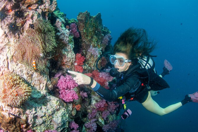 Scuba Diving Daytrip to Racha Yai - The Sea Bees Boat Setup: Clean, Comfortable, and Built for Real Needs