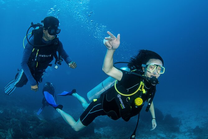Scuba Diving Daytrip to Racha Yai - What You’ll See Around Racha Yai (Corals, Wrecks, and Wildlife Time)