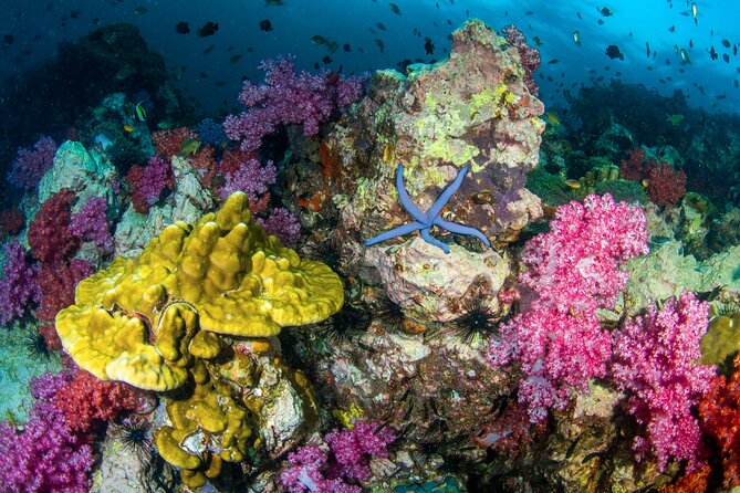 Scuba Diving Daytrip to Racha Yai - Snorkeling Is Part of the Day (Even If You Don’t SCUBA)