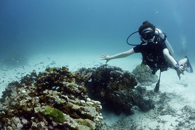 Scuba Diving in Phuket – Full-Day Trip (3 Dives, All Included) - Small Group Feel and Safety: What “Max 50” Means for You