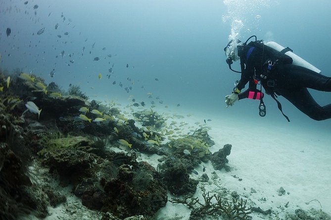 Scuba Diving in Phuket – Full-Day Trip (3 Dives, All Included) - Timing and Session Length: How the Day Rolls