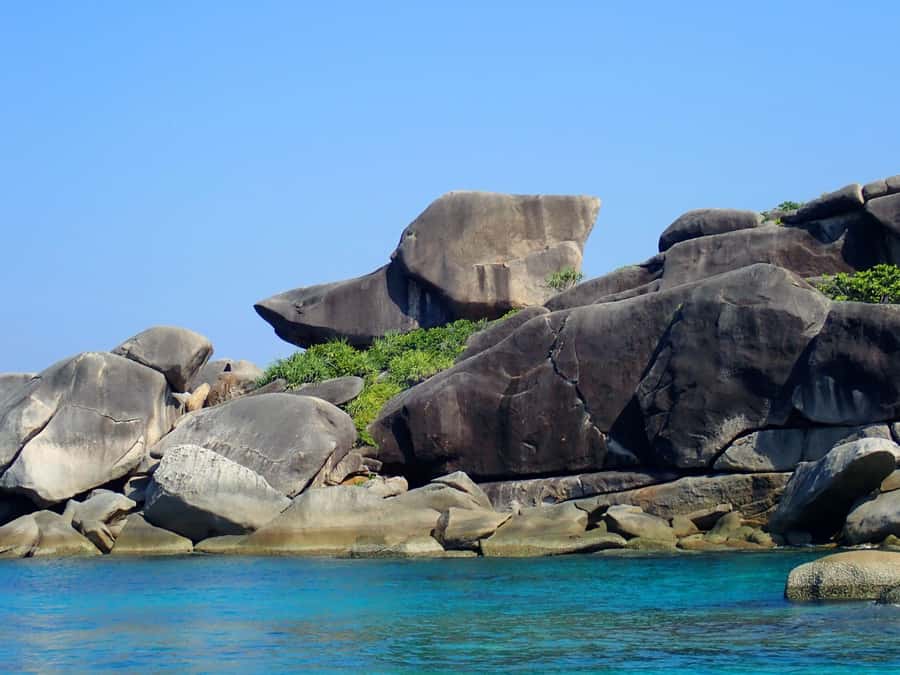 Similan Islands Early-Bird Tour From Phuket and Khao Lak! - Guide quality in real life: names you may hear and why it matters