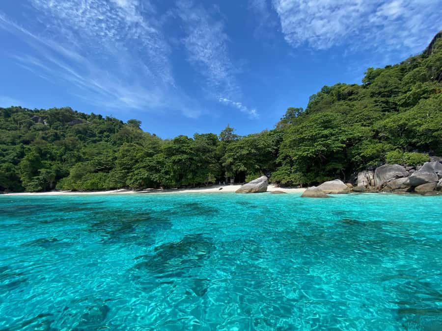 Similan Islands Early-Bird Tour From Phuket and Khao Lak! - Ko Miang beach breaks: Honeymoon Bay lunch and Princess Bay nature trail