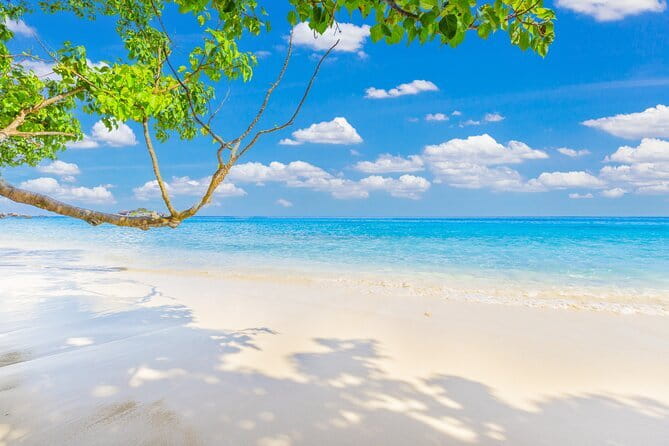 Similan Islands Full Day - Premium - Premium comfort in a place that’s the real star