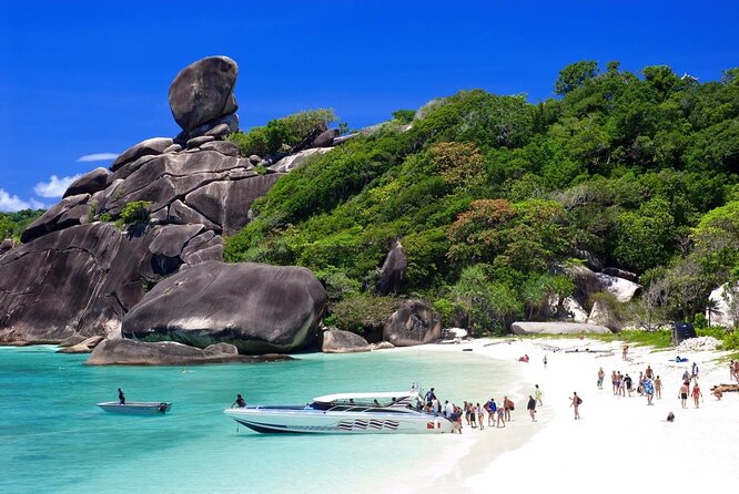 Similan Islands Private Tour - Key Points That Matter Before You Go