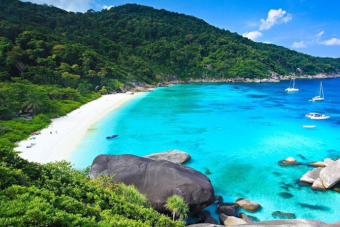 Similan Islands Snorkeling Day Tour from Phuket - Ko Miang (No. 4): lunch plus beach relaxation