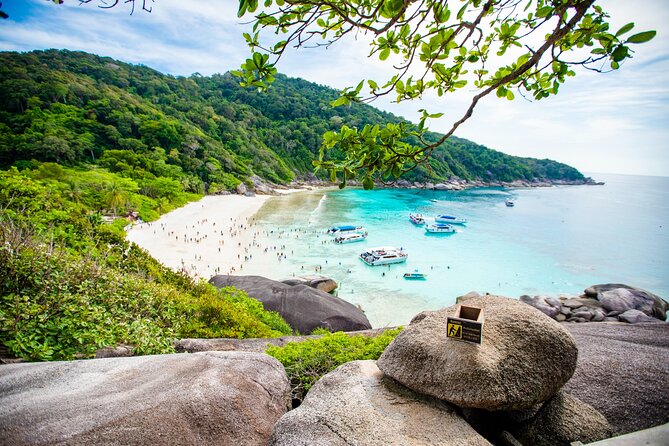 Similan Islands Snorkeling Tour By Seastar Andaman From Phuket - First reef time at Mu Ko Similan National Park (Island No. 5)