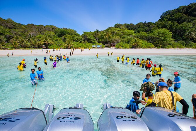 Similan Islands Snorkeling Tour By Seastar Andaman From Phuket - Ko Miang break: snorkeling or a walk plus a Thai buffet lunch