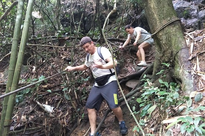 Small-Group Jungle Hiking Excursion in Khao Phra Teaw Park - Khao Phra Teaw Jungle Hike: a real Phuket rainforest day