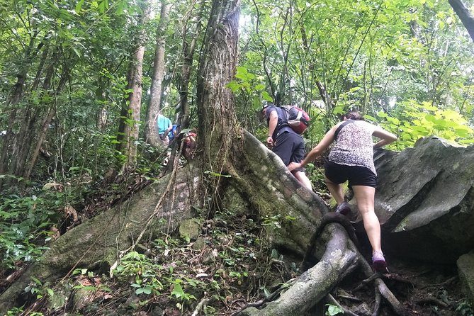 Small-Group Jungle Hiking Excursion in Khao Phra Teaw Park - Walking Tonsai and ending at Bang Pae waterfall pools