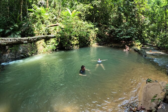Small-Group Jungle Hiking Excursion in Khao Phra Teaw Park - What you’ll actually see: wildlife, fungi, and gibbons