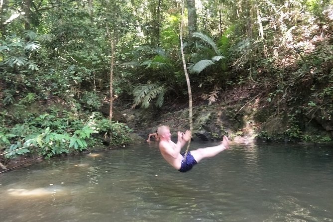 Small-Group Jungle Hiking Excursion in Khao Phra Teaw Park - Thai lunch at the end: local food you earned