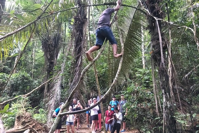 Small-Group Jungle Hiking Excursion in Khao Phra Teaw Park - Your guides: why names keep popping up