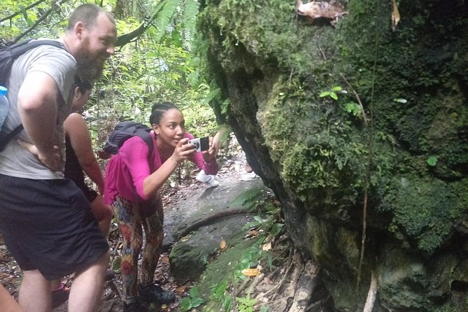 Small-Group Jungle Hiking Excursion in Khao Phra Teaw Park - Packing checklist: shoes, swim stuff, and wet-gear backups