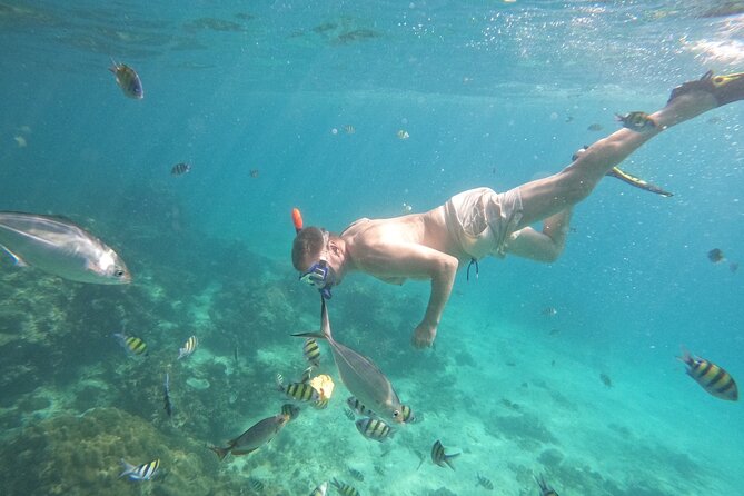 Small Group Phi Phi Islands Sunrise Tour with Seaview Lunch - Why sunrise timing changes everything on Phi Phi