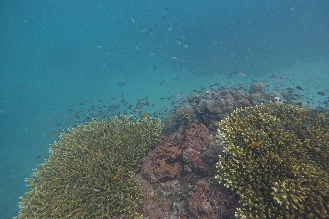 Small Group Phi Phi Islands Sunrise Tour with Seaview Lunch - Price and value: what $140 buys (and what it replaces)