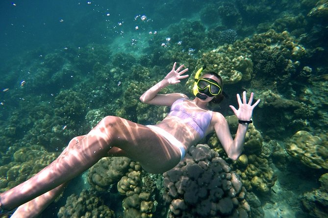 Small Groups of 20 people - Phi Phi & Bamboo Islands with Lunch - Bamboo Island: your first swim with big scenery