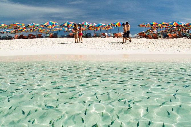 Snorkeling Tour to Coral & Maiton & Racha Island from Phuket - Price and Value: What About $54.74 Gets You