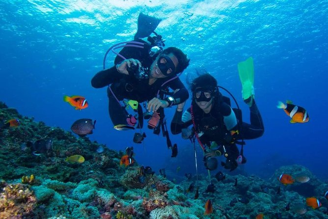 SSI | Padi Open Water Course in Phuket - Day 1 in Chalong: gear setup and skills in a controlled setting
