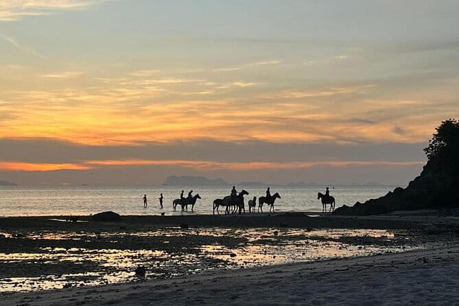 Sunset Beach Horseback Ride Phuket - From COLTS to Nai Yang Beach: how the ride actually unfolds