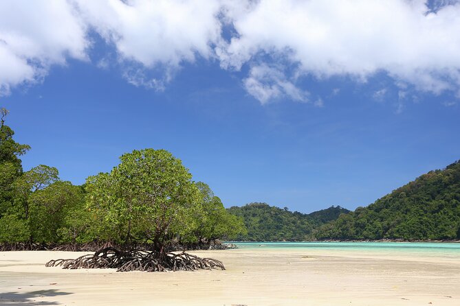 Surin Islands 2 Days 1 Night Trip from Phuket - Your overnight: tent site vs A/C room on the Ko Surin side