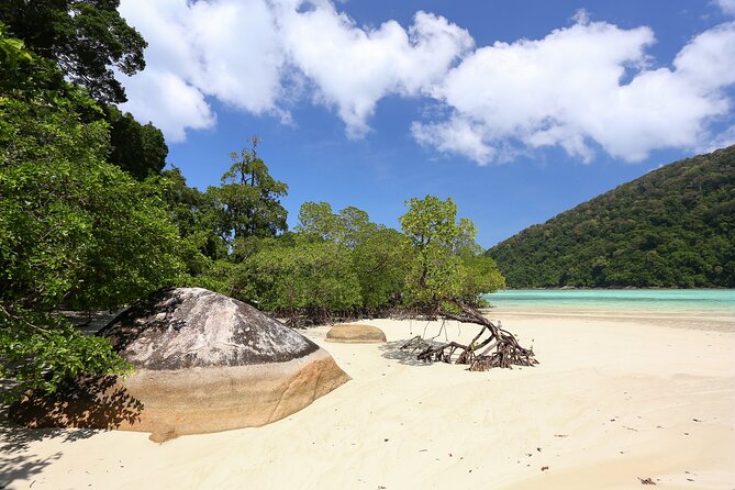 Surin Islands 2 Days 1 Night Trip from Phuket - What’s included, what costs extra, and how the price adds up