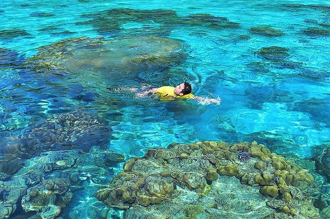 Surin Islands Snorkeling Day Trip By Love Andaman From Phuket - Meals that keep the day on track: breakfast, lunch, fruit, and snacks