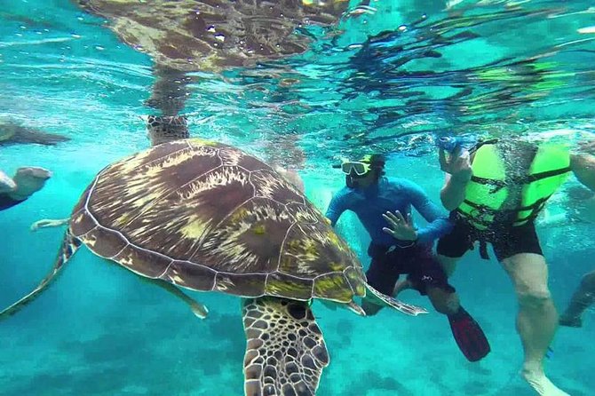Surin Islands Snorkeling Trip from Phuket - A Long-Day Snorkeling Win: What This Trip Really Delivers