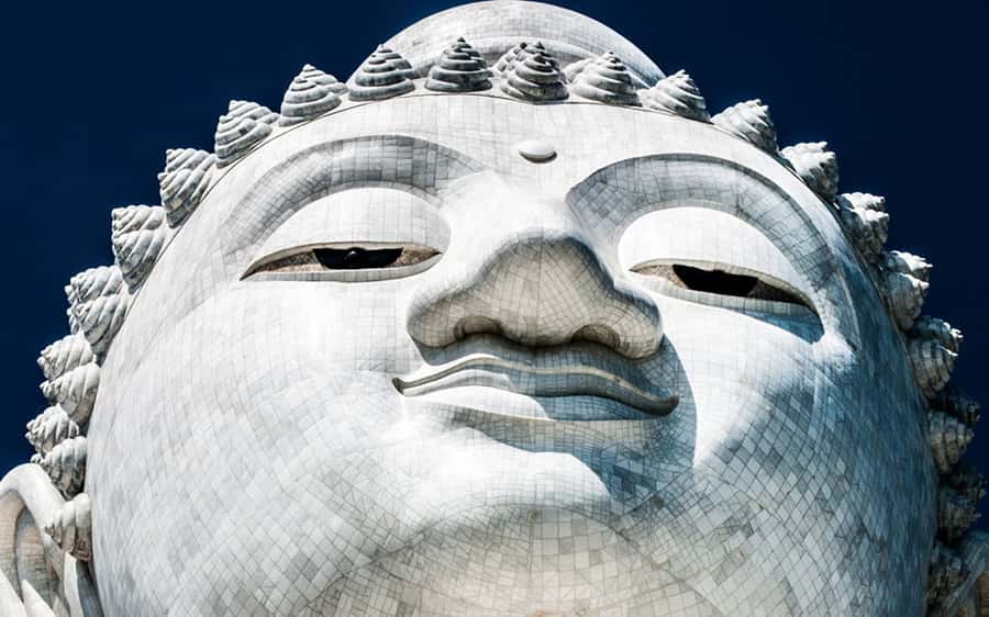 Temple and Jungle Trekking tour with Lunch at Farm-to-Table - Logistics and pacing: what to plan for during a hot Phuket day
