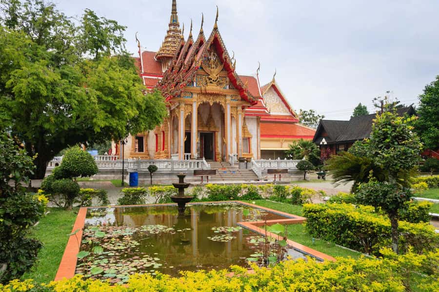 Temple and Jungle Trekking tour with Lunch at Farm-to-Table - Wat Luang Phu Supha: merit-making with a monk, chanting, and a blessing