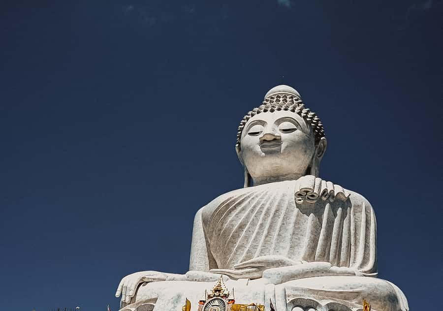 Temple and Jungle Trekking tour with Lunch at Farm-to-Table - The Big Buddha reality check: stunning views, no entry