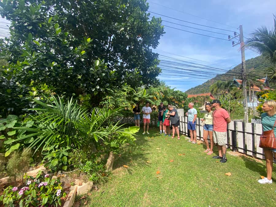 Thai Cooking Class with Market & Garden Tour - What you eat: your dishes served with mountain-valley views