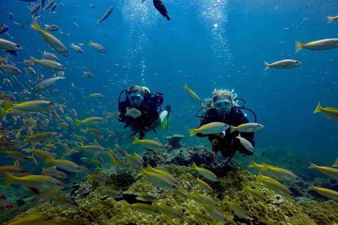 Try Scuba Diving - On the Water with Aloha: Boat Comfort and a Relaxed Pace