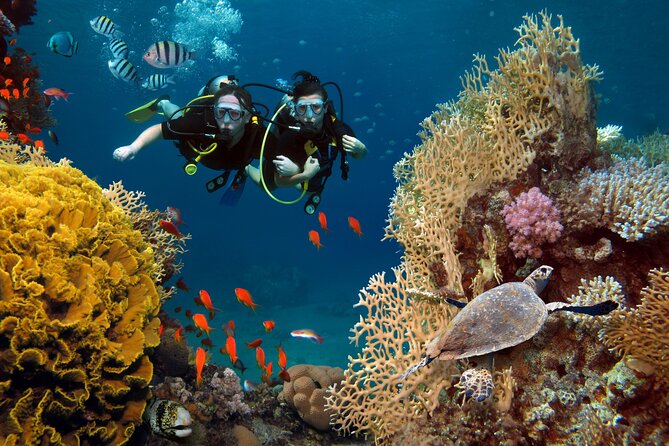 Try Scuba Diving in Racha Yai and Noi for Non-Certified - Key points before you go