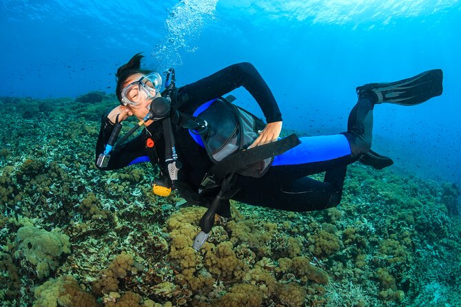 Try Scuba Diving in Racha Yai and Noi for Non-Certified - Safety and insurance: what’s included and what’s screened