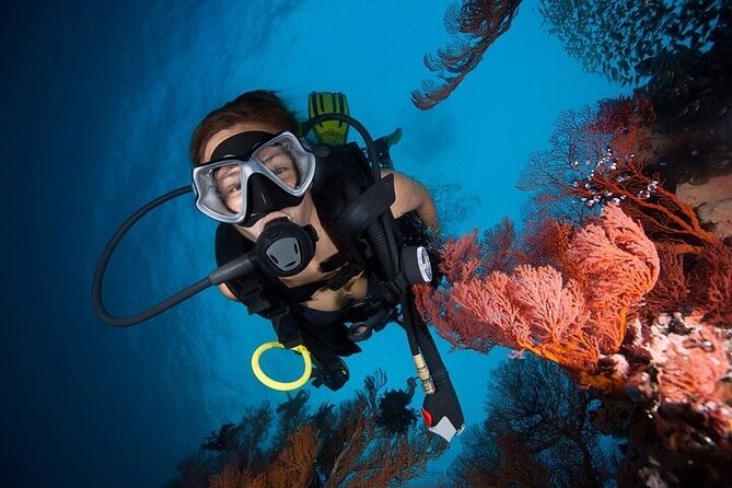 Try Scuba Diving in Racha Yai and Noi for Non-Certified - Gear and coaching: why small groups help new students