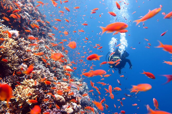 Try Scuba Diving in Racha Yai and Noi for Non-Certified - Food on board: breakfast, lunch, and snack pacing