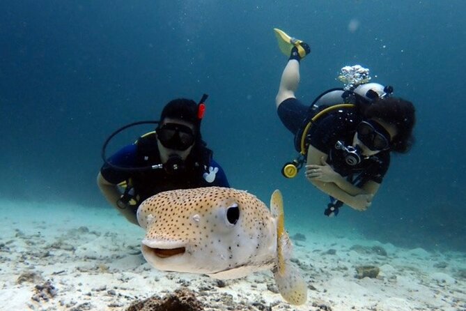 Try Scuba Diving in Racha Yai and Noi for Non-Certified - Your reef stop: Koh Racha Yai, plus the Racha option