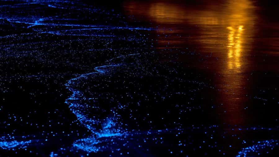 Twilight Sea Canoe to James Bond Island w/ Glowing Plankton - Key Highlights I’d Put on Your Radar