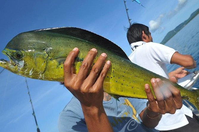 Ultimate Full-Day Big Game Fishing & Trolling Tour - The guide factor: when names like Eddie matter