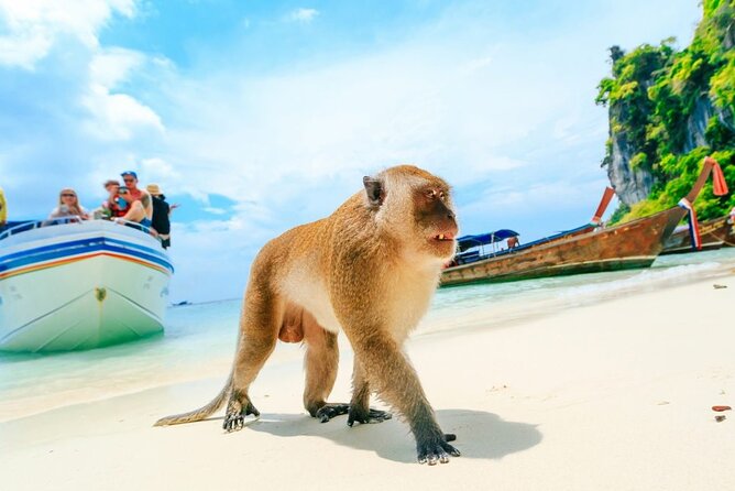 VIP Private Boat to Phi Phi Island: Snorkeling + Land Tour - The Short Stops: Nui Beach and Monkey Beach Feel Like Breathers