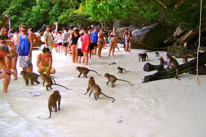 VIP Private Boat to Phi Phi Island: Snorkeling + Land Tour - Lunch at Phi Phi Don: Included Food, Included Fuel